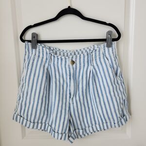 American Eagle Blue and White Striped Shorts